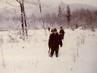 My Image File