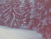 My Image File