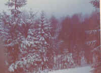 My Image File