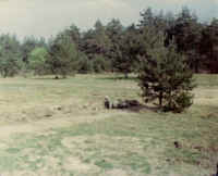 My Image File
